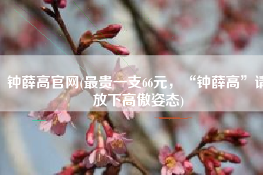 钟薛高官网(最贵一支66元，“钟薛高”请放下高傲姿态)