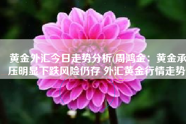 黄金外汇今日走势分析(周鸿金：黄金承压明显下跌风险仍存 外汇黄金行情走势)