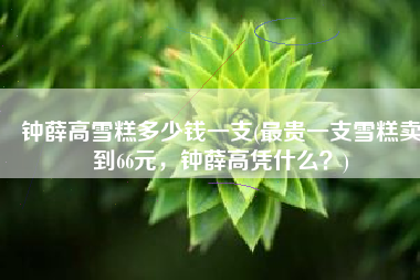 钟薛高雪糕多少钱一支(最贵一支雪糕卖到66元，钟薛高凭什么？)