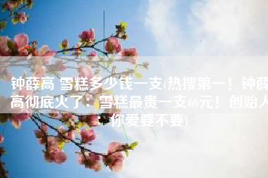 钟薛高 雪糕多少钱一支(热搜第一！钟薛高彻底火了：雪糕最贵一支66元！创始人：你爱要不要)