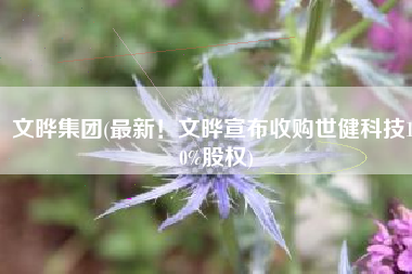 文晔集团(最新！文晔宣布收购世健科技100%股权)