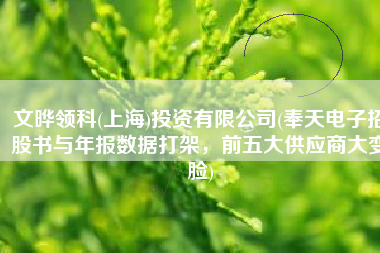文晔领科(上海)投资有限公司(奉天电子招股书与年报数据打架，前五大供应商大变脸)