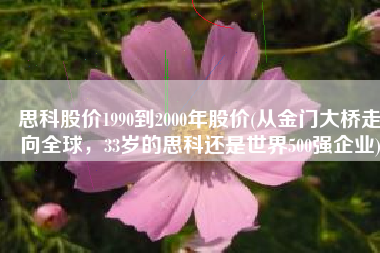 思科股价1990到2000年股价(从金门大桥走向全球，33岁的思科还是世界500强企业)
