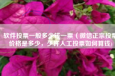 软件投票一般多少钱一票（微信正宗投票价格是多少，少许人工投票如何算钱)