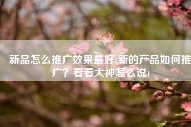 新品怎么推广效果最好(新的产品如何推广？看看大神怎么说)