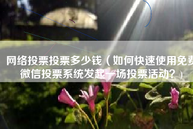 网络投票投票多少钱（如何快速使用免费微信投票系统发起一场投票活动？)