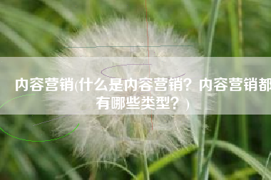 内容营销(什么是内容营销？内容营销都有哪些类型？)