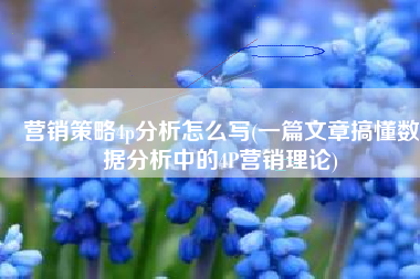 营销策略4p分析怎么写(一篇文章搞懂数据分析中的4P营销理论)