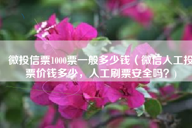 微投信票1000票一般多少钱（微信人工投票价钱多少，人工刷票安全吗？)