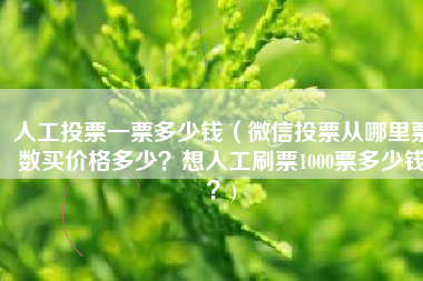 人工投票一票多少钱（微信投票从哪里票数买价格多少？想人工刷票1000票多少钱？)