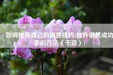 如何提高自己的销售技巧(提升销售成功率的方法（干货）)