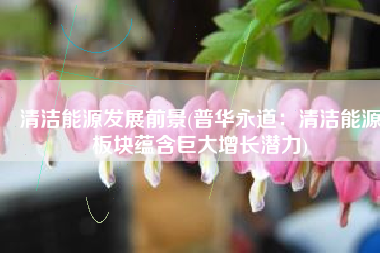清洁能源发展前景(普华永道：清洁能源板块蕴含巨大增长潜力)