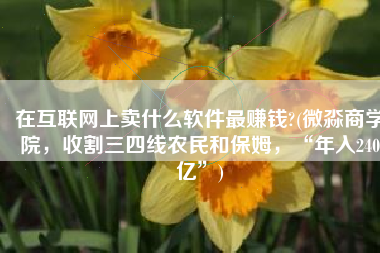 在互联网上卖什么软件最赚钱?(微淼商学院，收割三四线农民和保姆，“年入240亿”)