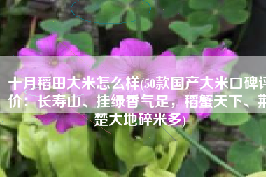 十月稻田大米怎么样(50款国产大米口碑评价：长寿山、挂绿香气足，稻蟹天下、荆楚大地碎米多)