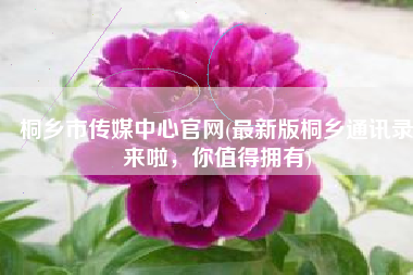 桐乡市传媒中心官网(最新版桐乡通讯录来啦，你值得拥有)