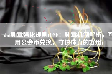dnf勋章强化规则(DNF：勋章机制解析，可用公会币兑换，守护珠真的好用)