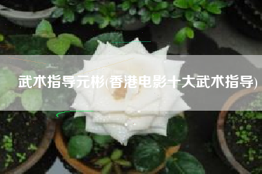 武术指导元彬(香港电影十大武术指导)