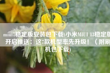 miui7稳定版安装包下载(小米MIUI 13稳定版开启推送：这7款机型率先升级！（附刷机包下载)