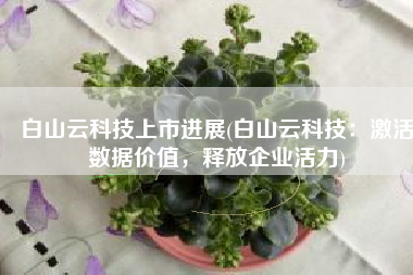 白山云科技上市进展(白山云科技：激活数据价值，释放企业活力)