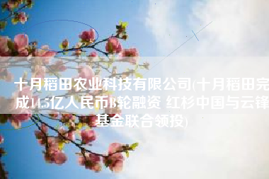 十月稻田农业科技有限公司(十月稻田完成14.5亿人民币B轮融资 红杉中国与云锋基金联合领投)