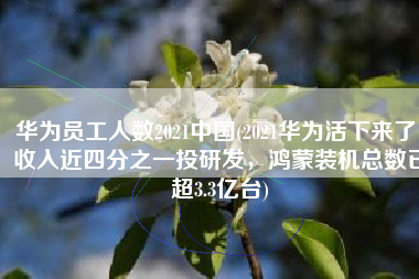 华为员工人数2021中国(2021华为活下来了！收入近四分之一投研发，鸿蒙装机总数已超3.3亿台)