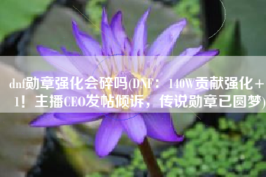 dnf勋章强化会碎吗(DNF：140W贡献强化+11！主播CEO发帖倾诉，传说勋章已圆梦)