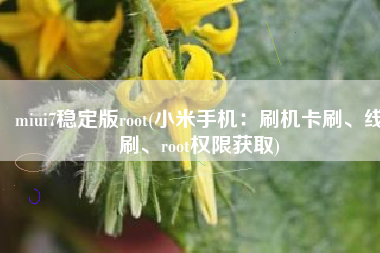 miui7稳定版root(小米手机：刷机卡刷、线刷、root权限获取)