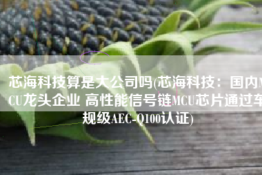 芯海科技算是大公司吗(芯海科技：国内MCU龙头企业 高性能信号链MCU芯片通过车规级AEC-Q100认证)