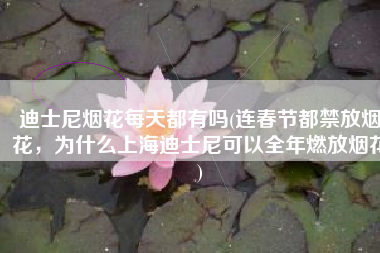 迪士尼烟花每天都有吗(连春节都禁放烟花，为什么上海迪士尼可以全年燃放烟花)