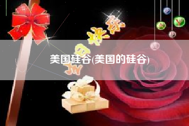美国硅谷(美国的硅谷)