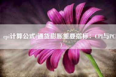 cpi计算公式(通货膨胀重要指标：CPI与PCE)