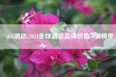 ibis酒店(2021全球酒店品牌价值50强榜单)