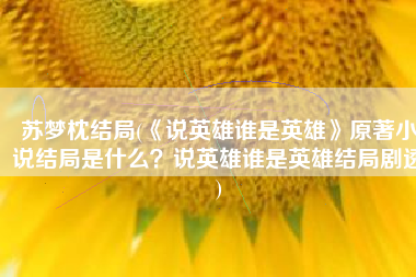 苏梦枕结局(《说英雄谁是英雄》原著小说结局是什么？说英雄谁是英雄结局剧透)