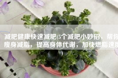 减肥健康快速减肥(5个减肥小妙招，帮你瘦身减脂，提高身体代谢，加快燃脂速度)