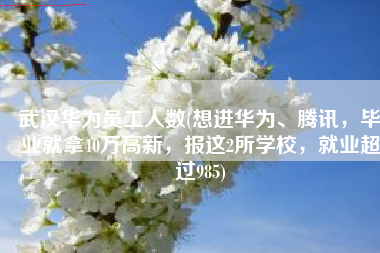 武汉华为员工人数(想进华为、腾讯，毕业就拿40万高新，报这2所学校，就业超过985)