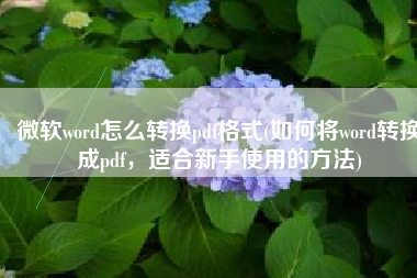 微软word怎么转换pdf格式(如何将word转换成pdf，适合新手使用的方法)