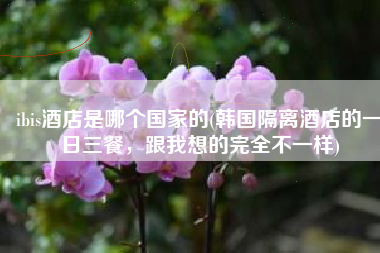 ibis酒店是哪个国家的(韩国隔离酒店的一日三餐，跟我想的完全不一样)