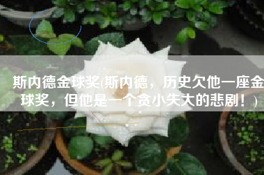 斯内德金球奖(斯内德，历史欠他一座金球奖，但他是一个贪小失大的悲剧！)