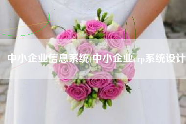 中小企业信息系统(中小企业erp系统设计)