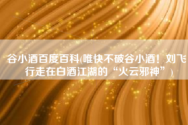 谷小酒百度百科(唯快不破谷小酒！刘飞：行走在白酒江湖的“火云邪神”)