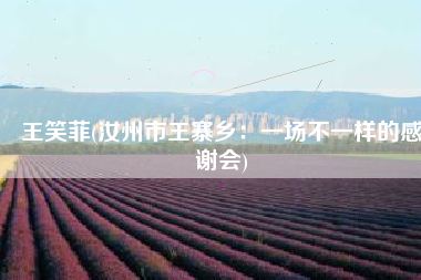 王笑菲(汝州市王寨乡：一场不一样的感谢会)