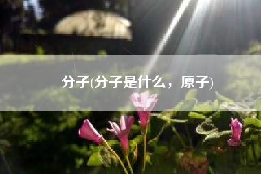 分子(分子是什么，原子)