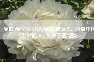 复联3票房多少亿(复联3破20亿，跻身中国影史前10，仅次于速7速8)