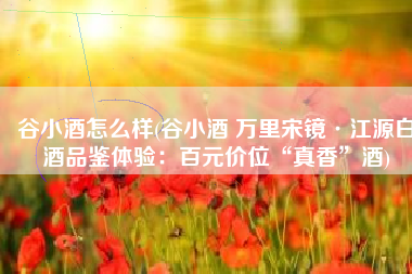 谷小酒怎么样(谷小酒 万里宋镜·江源白酒品鉴体验：百元价位“真香”酒)