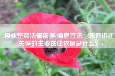 停业整顿法律依据(楹庭普法：环保拆迁、关停的主要法律依据是什么？)