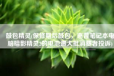 鼓包精灵(保修期后鼓包，惠普笔记本电脑暗影精灵2的电池遭大批消费者投诉)