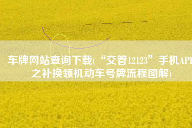 车牌网站查询下载(“交管12123”手机APP之补换领机动车号牌流程图解)