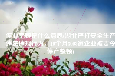 停业整顿是什么意思(湖北严打安全生产违法违规行为，10个月3008家企业被责令停产整顿)