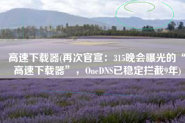 高速下载器(再次官宣：315晚会曝光的“高速下载器”，OneDNS已稳定拦截9年)