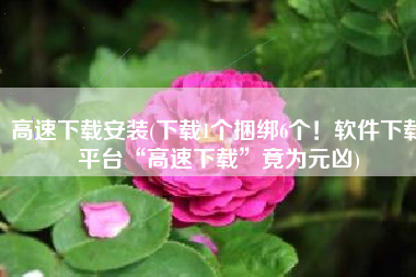高速下载安装(下载1个捆绑6个！软件下载平台“高速下载”竟为元凶)
